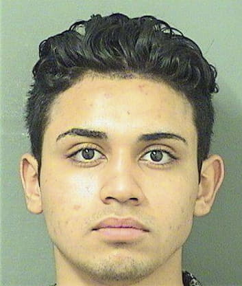 Harry Torrescolon, - Palm Beach County, FL 